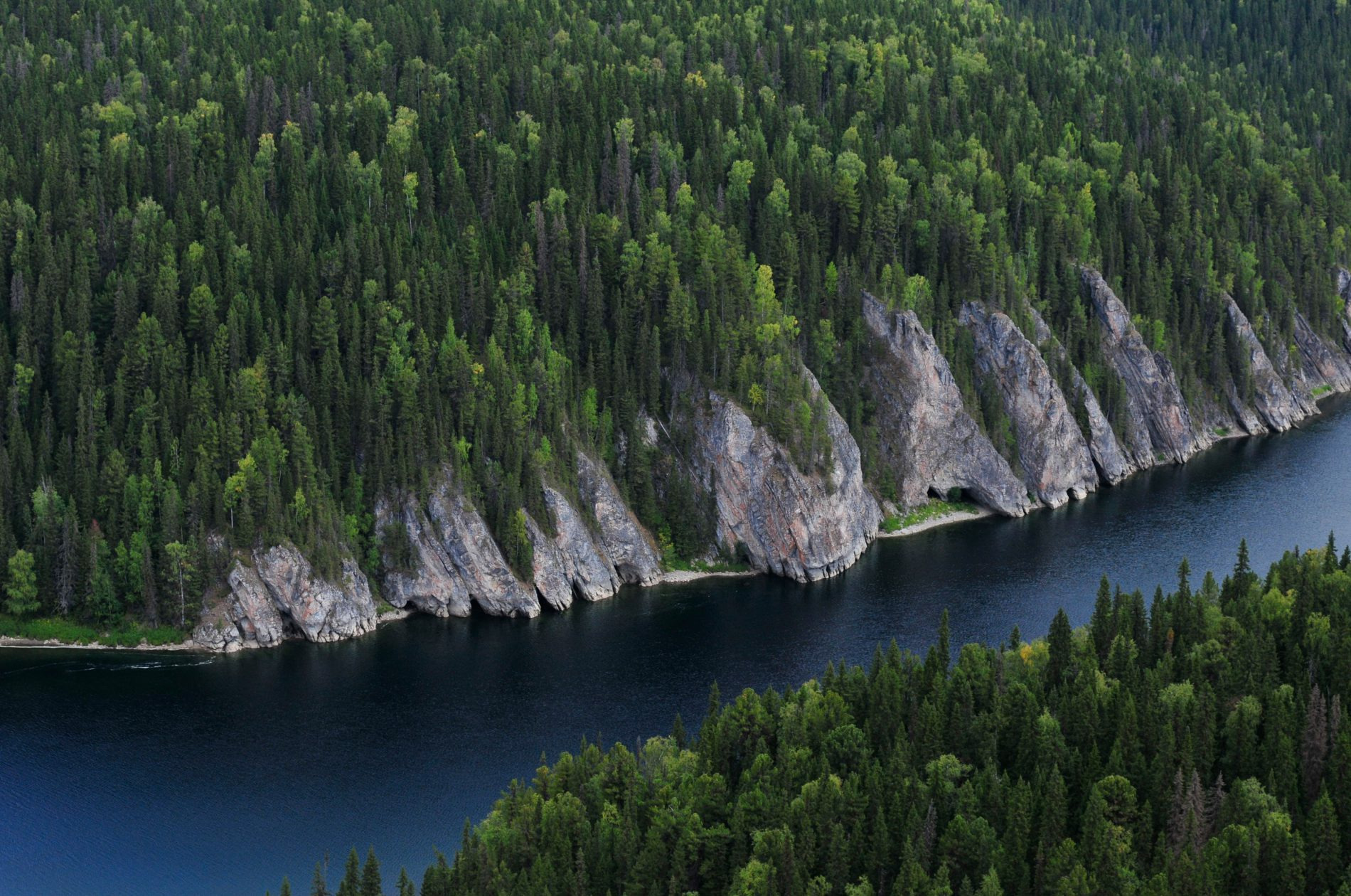 Леса коми фото. Река Щугор. Река Щугор Республика Коми. Река Щугор ворота. Река Щугор девственные леса Коми.